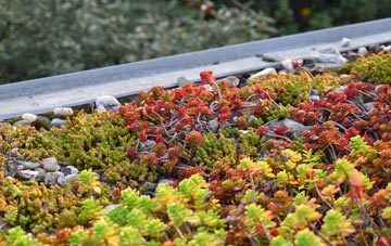 the cost of Bograxie green roof installation